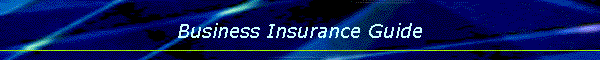 Business Insurance Guide